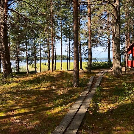 Luontohotelli Sapson Helmi Sotkamo Exteriér fotografie