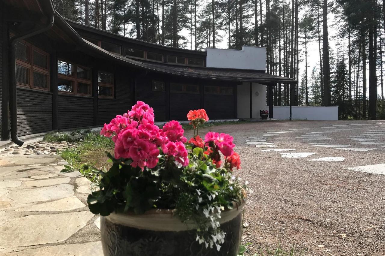 Luontohotelli Sapson Helmi Sotkamo Exteriér fotografie